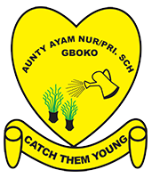 Aunty Ayam Nursery and Primary School